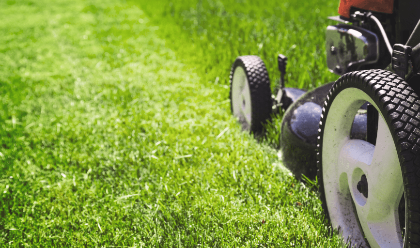 Coastal Flow Pressure Washing & Lawn Care