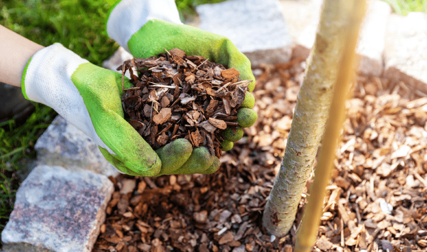 Coastal Flow Pressure Washing & Lawn Care